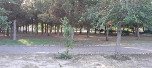 عکس بوستان لواسانی