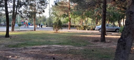 عکس بوستان لواسانی