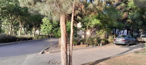 عکس بوستان لواسانی