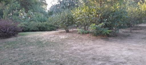 عکس بوستان لواسانی