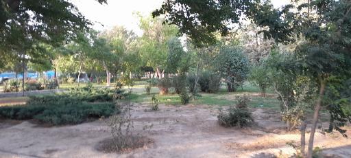 عکس بوستان لواسانی