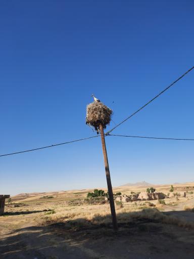 عکس پهنه بر