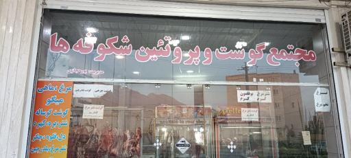 عکس مجتمع گوشت و پروتئین شکوفه ها