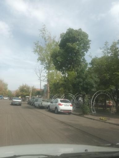 عکس مهربان