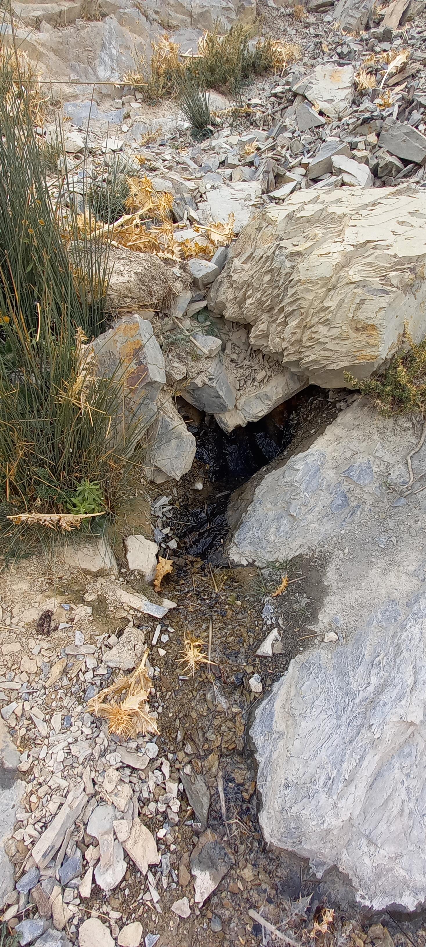 عکس چشمه باردون