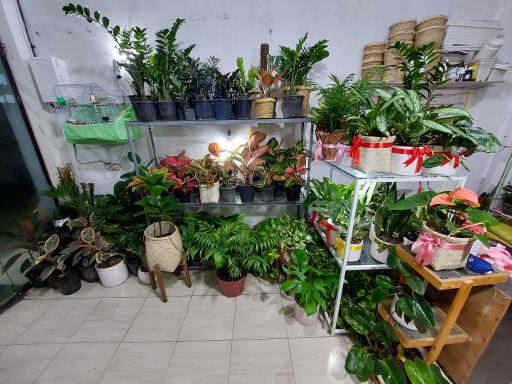 عکس گلکده رویای سبز