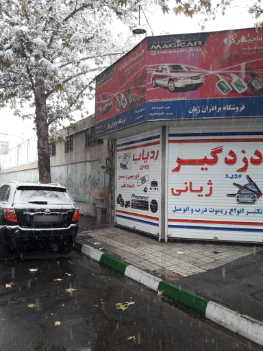 دزدگیر ژیانی