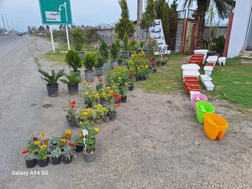 عکس گل و گیاه و گلدان سرای اورنگ