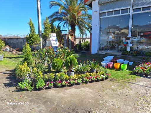 عکس گل و گیاه و گلدان سرای اورنگ