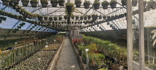 عکس جزیره کاکتوس