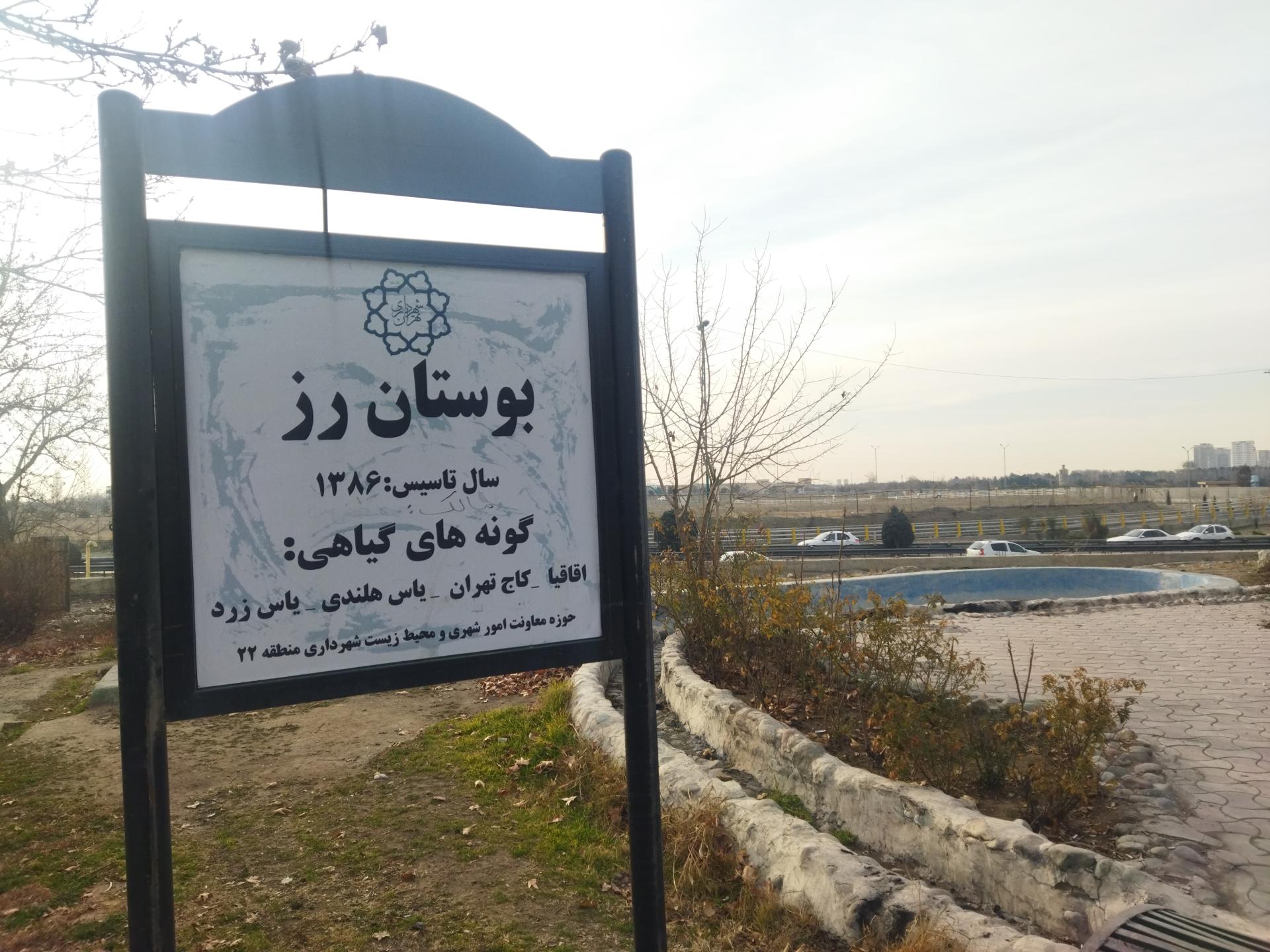 عکس بوستان رز