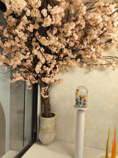 عکس کافه قنادی مادلن