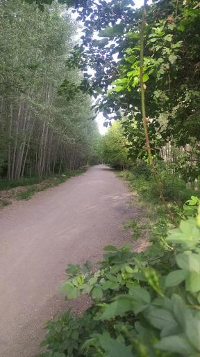 عکس پارک ساحلی سرارود