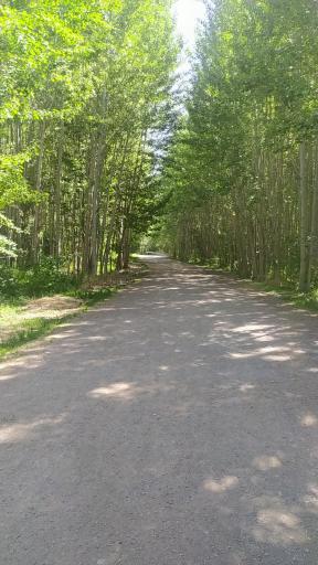 عکس پارک ساحلی سرارود