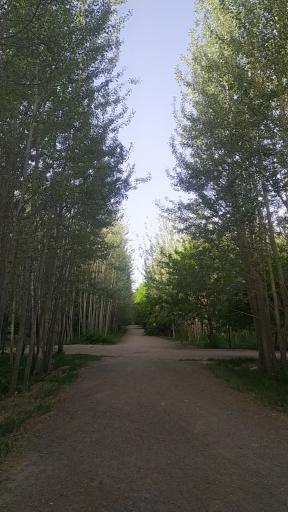 عکس پارک ساحلی سرارود