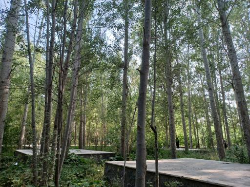 عکس پارک ساحلی سرارود