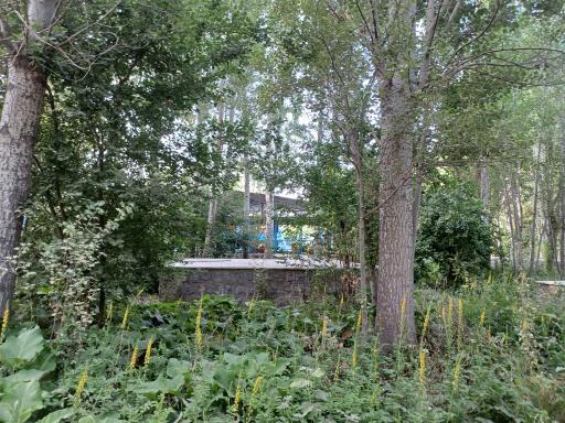 پارک ساحلی سرارود