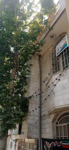 عکس مرکز درمان و سوء مصرف مواد پرنیا