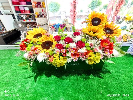 عکس گلخانه رگال 