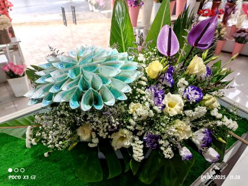 عکس گلخانه رگال 