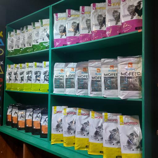 عکس پت شاپ میا