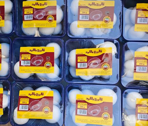 عکس پخش قارچ ملارد