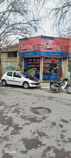 عکس دزدگیر ژیانی