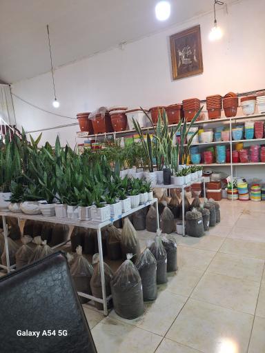 عکس گل و گیاه و گلدان سرای اورنگ