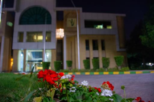 عکس شرکت توسعه نیشکر و صنایع جانبی