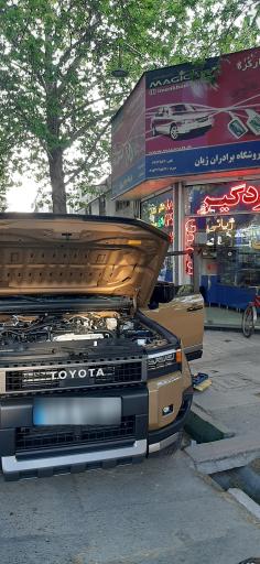عکس دزدگیر ژیانی
