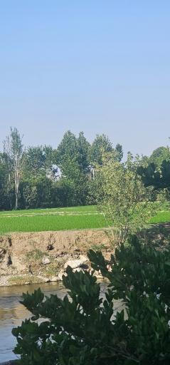 عکس پارک ساحلی سرارود