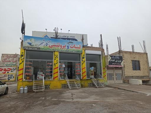 عکس لبنیات و پروتئینی نگار شهر