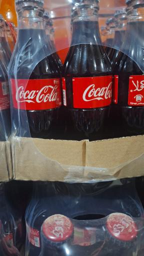 عکس پخش نوشیدنی محمد معین