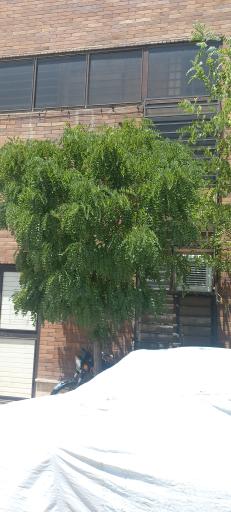 عکس شرکت چشم انداز سپاس