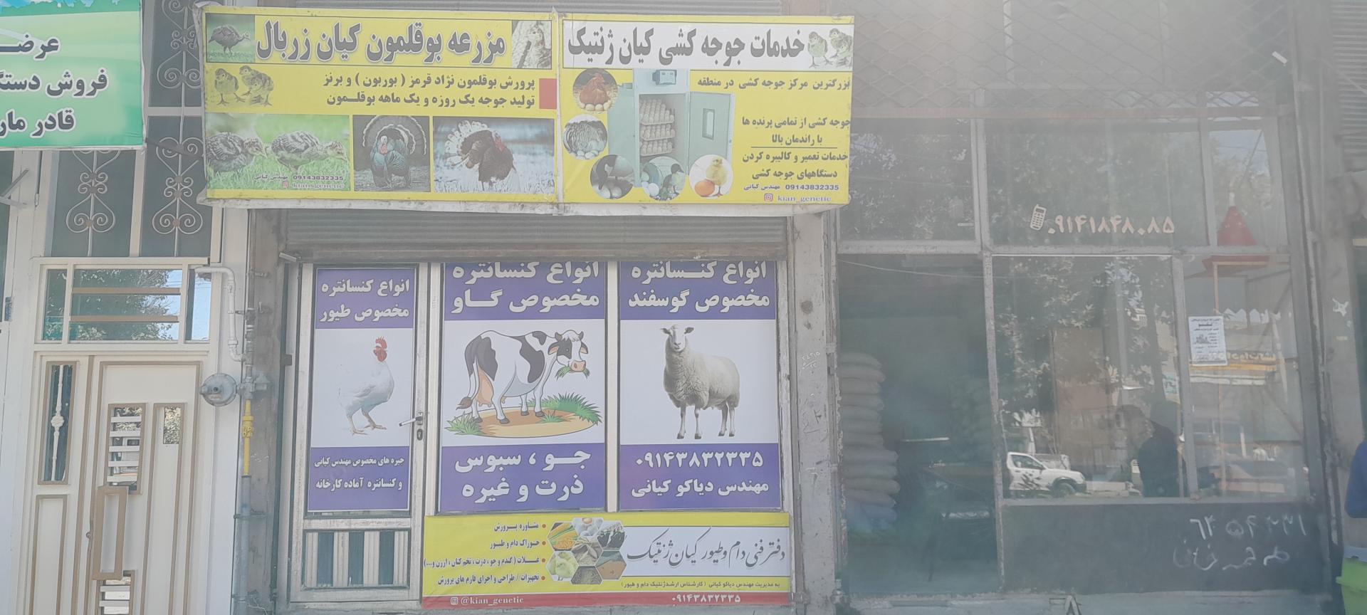 عکس خوراک دام و طیور مهندس دیاکو کیانی