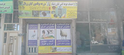 عکس خوراک دام و طیور مهندس دیاکو کیانی