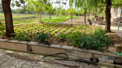 سبزی فروشی باغ بهشت