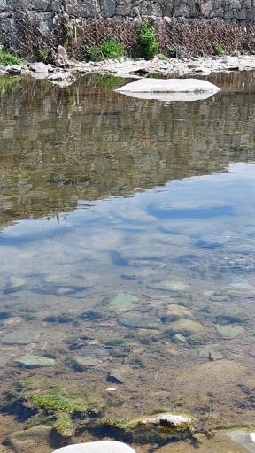 عکس رودخانه کردان