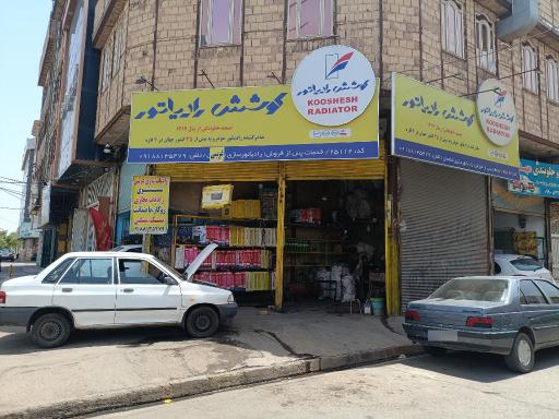 عکس رادیات سازی غریبی