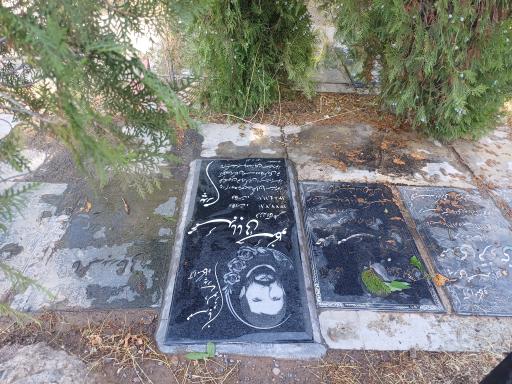 عکس گلزار مومنین میانه