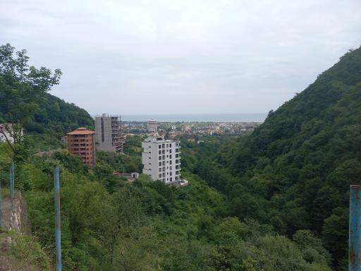 عکس جنگلهای سیاسان