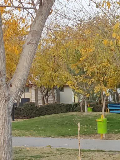 عکس سرویس بهداشتی