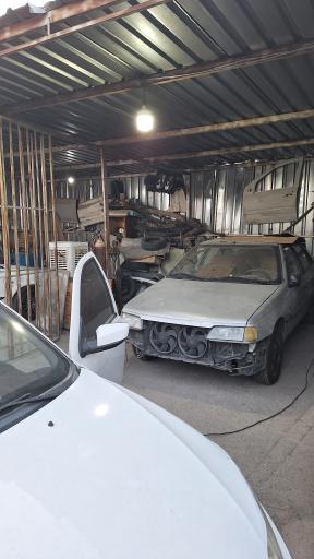 عکس صافکاری بدون رنگ استاد فرهاد جوانمردی