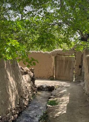 عکس برقبان