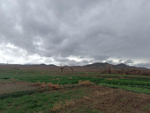عکس برقبان