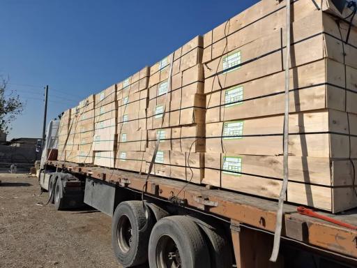 عکس پگاه چوب