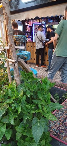 عکس کافه گالری هیچ خانه 