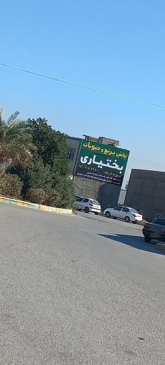 عکس پخش مواد غذایی بختیاری