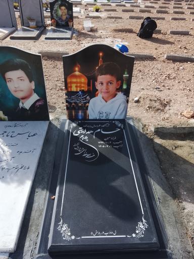 عکس قطعه ۸۸