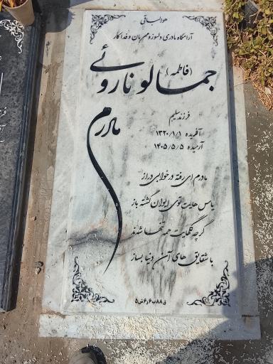 عکس قطعه ۸۸